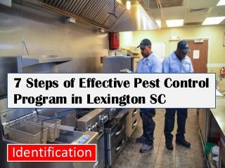 Identification
7 Steps of Effective Pest Control
Program in Lexington SC