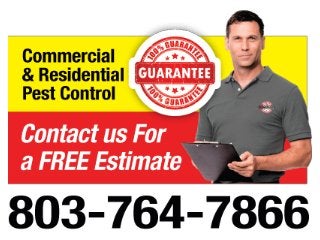 7 steps of effective pest control program in Lexington SC