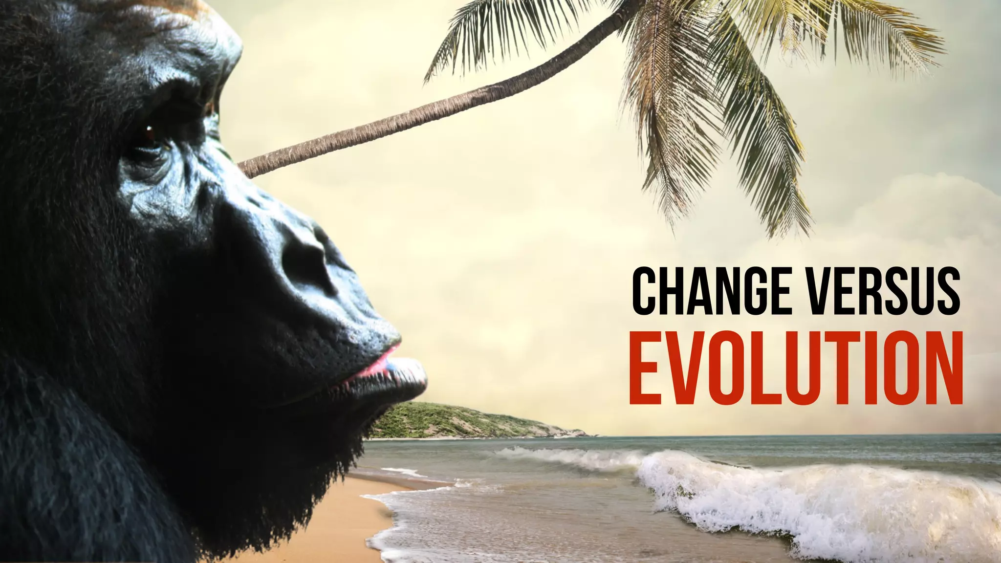 CHANGE VERSUS
EVOLUTION
 