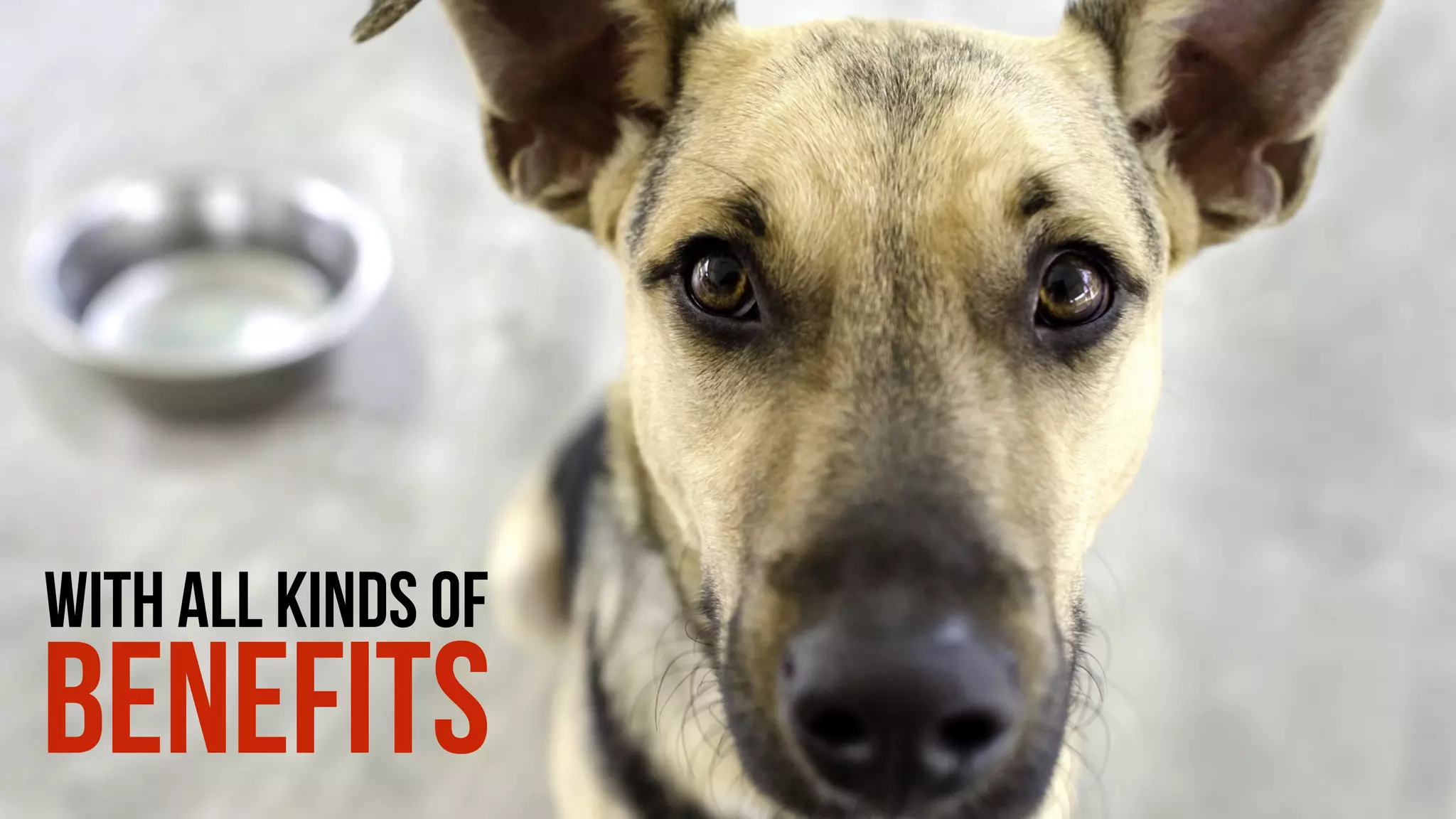 WITH ALL KINDS OF
BENEFITS
 