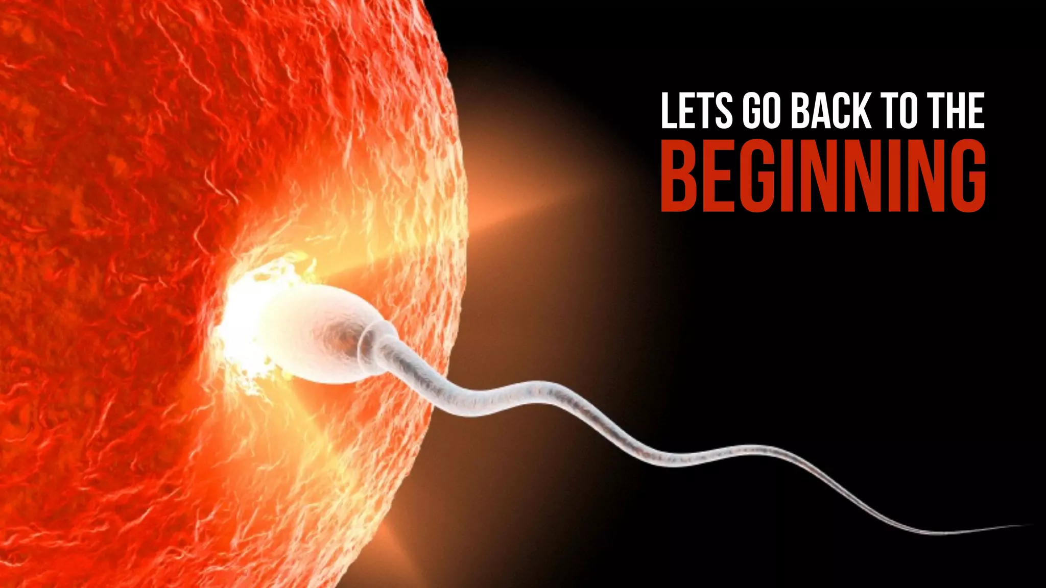 LETS GO BACK TO THE
BEGINNING
 