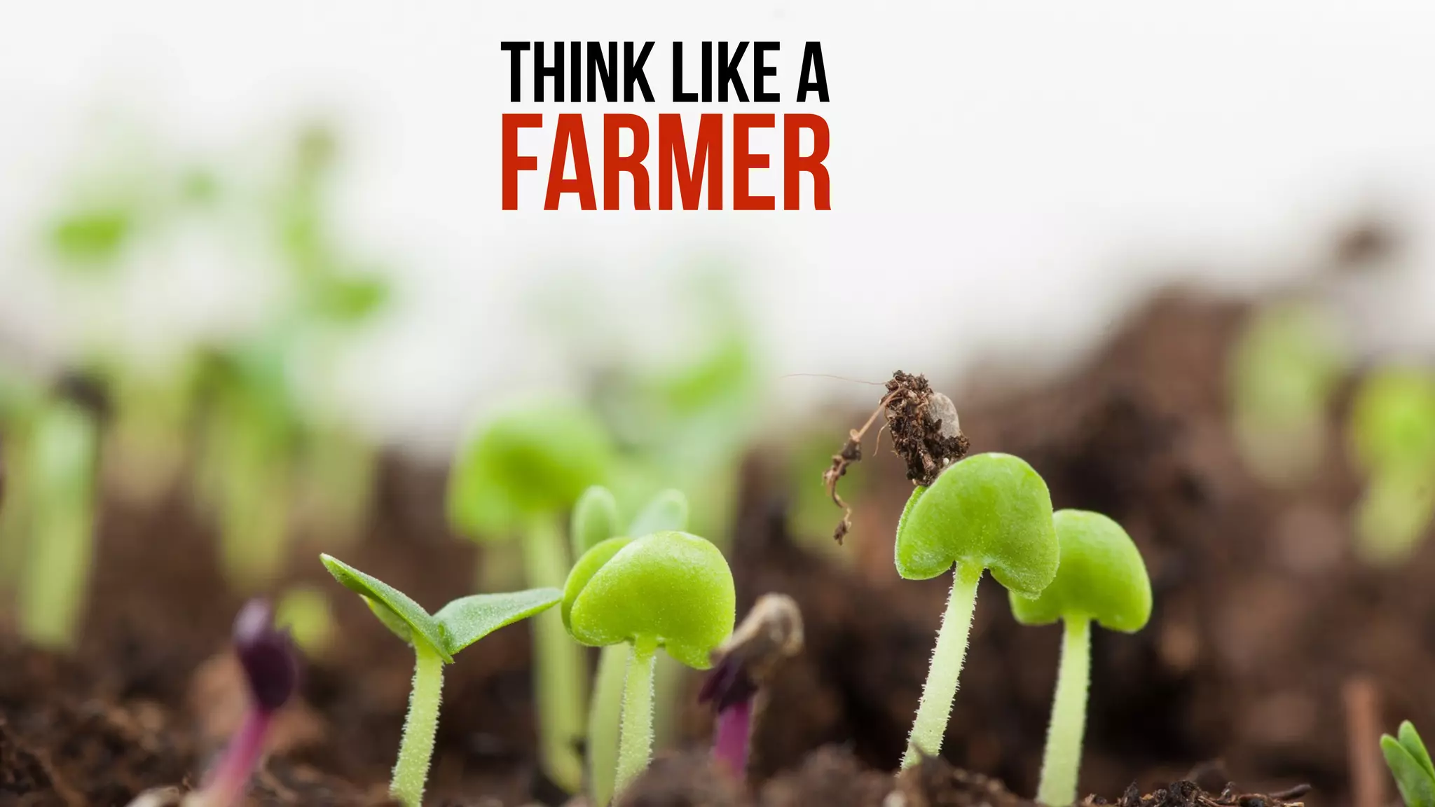 THINK LIKE A
FARMER
 