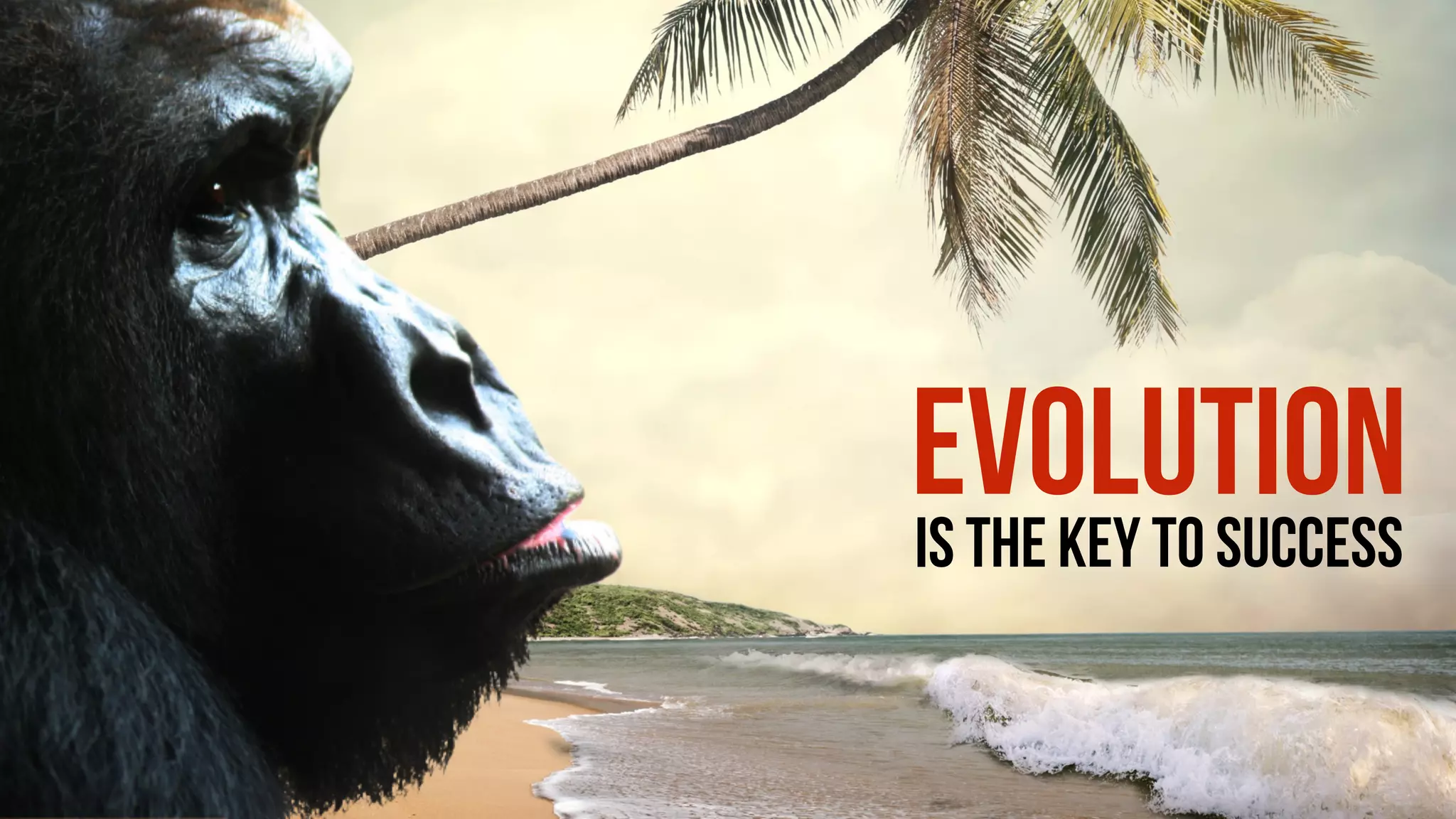 EVOLUTIONIS THE KEY TO SUCCESS
 