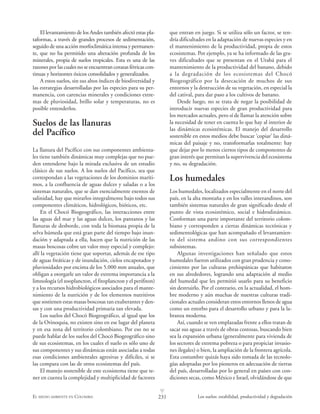 231EL MEDIO AMBIENTE EN COLOMBIA Los suelos: estabilidad, productividad y degradación
L
El levantamiento de los Andes también afectó estas pla-
taformas, a través de grandes procesos de sedimentación,
seguido de una acción morfoclimática intensa y permanen-
te, que no ha permitido una alteración profunda de los
minerales, propia de suelos tropicales. Esta es una de las
razones por las cuales no se encuentran corazas férricas con-
tinuas y horizontes óxicos consolidados y generalizados.
A estos suelos, sin sus altos índices de biodiversidad y
las estrategias desarrolladas por las especies para su per-
manencia, con carencias minerales y condiciones extre-
mas de pluviosidad, brillo solar y temperaturas, no es
posible entenderlos.
Suelos de las llanuras
del Pacífico
La llanura del Pacífico con sus componentes ambienta-
les tiene también dinámicas muy complejas que no pue-
den entenderse bajo la mirada exclusiva de un estudio
clásico de sus suelos. A los suelos del Pacífico, sea que
correspondan a las vegetaciones de los dominios maríti-
mos, a la confluencia de aguas dulces y saladas o a los
sistemas naturales, que se dan esencialmente exentos de
salinidad, hay que mirarlos integralmente bajo todos sus
componentes climáticos, hidrológicos, bióticos, etc.
En el Chocó Biogeográfico, las interacciones entre
las aguas del mar y las aguas dulces, los pantanos y las
llanuras de desborde, con toda la biomasa propia de la
selva húmeda que está gran parte del tiempo bajo inun-
dación y adaptada a ella, hacen que la nutrición de las
masas boscosas cobre un valor muy especial y complejo:
allí la vegetación tiene que soportar, además de ese tipo
de aguas freáticas y de inundación, cielos encapotados y
pluviosidades por encima de los 5.000 mm anuales, que
obligan a otorgarle un valor de extrema importancia a la
limnología (el zooplancton, el fitoplancton y el perifiton)
y a los recursos hidrobiológicos asociados para el mante-
nimiento de la nutrición y de los elementos nutritivos
que sostienen estas masas boscosas tan exuberantes y den-
sas y con una productividad primaria tan elevada.
Los suelos del Chocó Biogeográfico, al igual que los
de la Orinoquia, no existen sino en ese lugar del planeta
y en esa zona del territorio colombiano. Por eso no se
puede hablar de los suelos del Chocó Biogeográfico sino
de sus ecosistemas, en los cuales el suelo es sólo uno de
sus componentes y sus dinámicas están asociadas a todas
esas condiciones ambientales agresivas y difíciles, si se
las compara con las de otros ecosistemas del país.
El manejo sostenible de este ecosistema tiene que te-
ner en cuenta la complejidad y multiplicidad de factores
que entran en juego. Si se utiliza sólo un factor, se ten-
dría dificultades en la adaptación de nuevas especies y en
el mantenimiento de la productividad, propia de estos
ecosistemas. Por ejemplo, ya se ha informado de las gra-
ves dificultades que se presentan en el Urabá para el
mantenimiento de la productividad del banano, debido
a la degradación de los ecosistemas del Chocó
Biogeográfico por la desecación de muchos de sus
entornos y la destrucción de su vegetación, en especial la
del catival, para dar paso a los cultivos de banano.
Desde luego, no se trata de negar la posibilidad de
introducir nuevas especies de gran productividad para
los mercados actuales, pero sí de llamar la atención sobre
la necesidad de tener en cuenta lo que hay al interior de
las dinámicas ecosistémicas. El manejo del desarrollo
sostenible en estos medios debe buscar ‘copiar’ las diná-
micas del paisaje y no, transformarlas totalmente: hay
que dejar por lo menos ciertos tipos de componentes de
gran interés que permitan la supervivencia del ecosistema
y no, su degradación.
Los humedales
Los humedales, localizados especialmente en el norte del
país, en la alta montaña y en los valles interandinos, son
también sistemas naturales de gran significado desde el
punto de vista ecosistémico, social e hidrodinámico.
Conforman una parte importante del territorio colom-
biano y corresponden a ciertas dinámicas tectónicas y
sedimentológicas que han acompañado el levantamien-
to del sistema andino con sus correspondientes
subsistemas.
Algunas investigaciones han señalado que estos
humedales fueron utilizados con gran prudencia y cono-
cimiento por las culturas prehispánicas que habitaron
en sus alrededores, logrando una adaptación al medio
del humedal que les permitió usarlo para su beneficio
sin destruirlo. Por el contrario, en la actualidad, el hom-
bre moderno y aún muchas de nuestras culturas tradi-
cionales actuales consideran estos entornos llenos de agua
como un estorbo para el desarrollo urbano y para la la-
branza moderna.
Así, cuando se ven emplazadas frente a ellos tratan de
sacar sus aguas a través de obras costosas, buscando bien
sea la expansión urbana (generalmente para vivienda de
los sectores de extrema pobreza o para propiciar invasio-
nes ilegales) o bien, la ampliación de la frontera agrícola.
Esta costumbre quizás haya sido tomada de las tecnolo-
gías adoptadas por los pioneros en adecuación de tierras
del país, desarrolladas por lo general en países con con-
diciones secas, como México e Israel, olvidándose de que
 