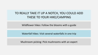 TO REALLY TAKE IT UP A NOTCH, YOU COULD ADD
THESE TO YOUR HIKE/CAMPING
Wildflower hikes: Follow the blooms with a guide
Waterfall hikes: Visit several waterfalls in one trip
Mushroom picking: Pick mushrooms with an expert
 
