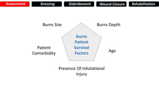 Burns
Patient
Survival
Factors
Burns Size Burns Depth
Age
Presence Of Inhalational
Injury
Patient
Comorbidity
Assessment Dressing Debridement Wound Closure Rehabilitation
 
