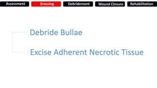 Debride Bullae
Excise Adherent Necrotic Tissue
Assessment Dressing Debridement Wound Closure Rehabilitation
 