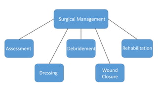 Surgical Management
Assessment
Dressing
Debridement
Wound
Closure
Rehabilitation
 