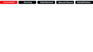 Assessment Dressing Debridement Wound Closure Rehabilitation
 