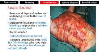 Fascial Excision
• Removes all layers of eschar and
underlying tissue to the level of
fascia.
• Excision to this plane minimizes
bleeding and provides a reliable,
clean, vascular bed.
• Recommended
-subcutaneous fat is burned
-selected large burns with >60%
BSA full-thickness who have high
risks for infection, blood loss, or
skin graft slough
Assessment Dressing Debridement Wound Closure Rehabilitation
 