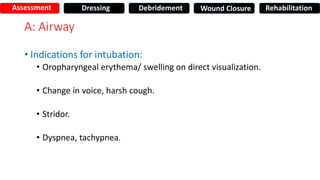 A: Airway
• Indications for intubation:
• Oropharyngeal erythema/ swelling on direct visualization.
• Change in voice, harsh cough.
• Stridor.
• Dyspnea, tachypnea.
Assessment Dressing Debridement Wound Closure Rehabilitation
 