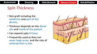 Split-Thickness
• Skin graft including the
epidermis and part of the
dermis.
• Thickness depends on the donor
site and needs of the patient
• Can expand upto 9 times
• Frequently used as they can
cover large areas and the rate of
autorejection is low.
Assessment Dressing Debridement Wound Closure Rehabilitation
 