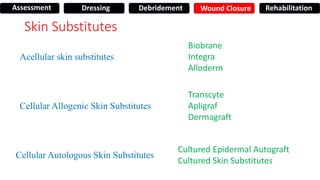 Skin Substitutes
Acellular skin substitutes
Cellular Allogenic Skin Substitutes
Cellular Autologous Skin Substitutes
Biobrane
Integra
Alloderm
Transcyte
Apligraf
Dermagraft
Cultured Epidermal Autograft
Cultured Skin Substitutes
Assessment Dressing Debridement Wound Closure Rehabilitation
 