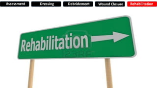 Assessment Dressing Debridement Wound Closure Rehabilitation
 