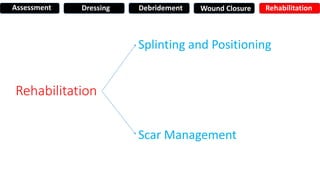 Rehabilitation
Splinting and Positioning
Scar Management
Assessment Dressing Debridement Wound Closure Rehabilitation
 