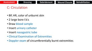 C: Circulation
• BP, HR, color of unburnt skin
• 2 large bore I.V.s
• Draw blood sample
• Insert urinary catheter
• Insert nasogastric tube
• Clinical Examination of Extremities
• Doppler exam of circumferentially burnt extremities
Assessment Dressing Debridement Wound Closure Rehabilitation
 