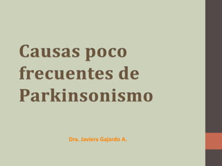 Dra. Javiera Gajardo A. 
 