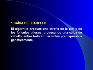 1.CAÍDA DEL CABELLO.
El cigarrillo produce una atrofia de la piel y de
los folículos pilosos, provocando una caída de
cabello, sobre todo en pacientes predispuestos
genéticamente.
 