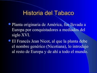 Historia del TabacoHistoria del Tabaco
Planta originaria de América, fue llevada a
Europa por conquistadores a mediados del
siglo XVI.
El Francés Jean Nicot, al que la planta debe
el nombre genérico (Nicotiana), lo introdujo
al resto de Europa y de ahí a todo el mundo.
 