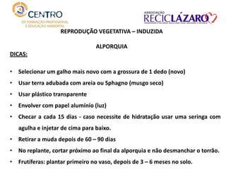 REPRODUÇÃO VEGETATIVA – INDUZIDA
ALPORQUIA
DICAS:
• Selecionar um galho mais novo com a grossura de 1 dedo (novo)
• Usar terra adubada com areia ou Sphagno (musgo seco)
• Usar plástico transparente
• Envolver com papel alumínio (luz)
• Checar a cada 15 dias - caso necessite de hidratação usar uma seringa com
agulha e injetar de cima para baixo.
• Retirar a muda depois de 60 – 90 dias
• No replante, cortar próximo ao final da alporquia e não desmanchar o torrão.
• Frutíferas: plantar primeiro no vaso, depois de 3 – 6 meses no solo.
 
