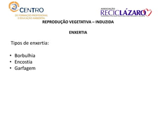 REPRODUÇÃO VEGETATIVA – INDUZIDA
ENXERTIA
Tipos de enxertia:
• Borbulhia
• Encostia
• Garfagem
 