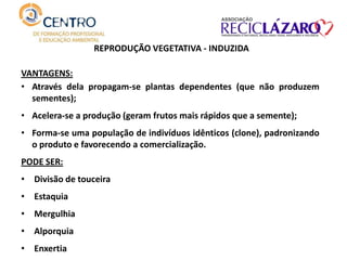REPRODUÇÃO VEGETATIVA - INDUZIDA
VANTAGENS:
• Através dela propagam-se plantas dependentes (que não produzem
sementes);
• Acelera-se a produção (geram frutos mais rápidos que a semente);
• Forma-se uma população de indivíduos idênticos (clone), padronizando
o produto e favorecendo a comercialização.
PODE SER:
• Divisão de touceira
• Estaquia
• Mergulhia
• Alporquia
• Enxertia
 