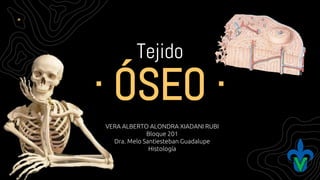 Tejido
· ÓSEO ·
VERA ALBERTO ALONDRA XIADANI RUBI
Bloque 201
Dra. Melo Santiesteban Guadalupe
Histología
 