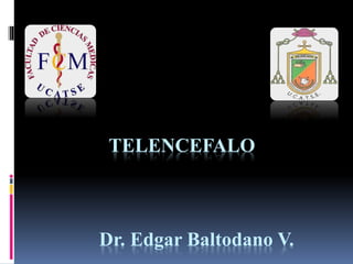 TELENCEFALO
Dr. Edgar Baltodano V.
 