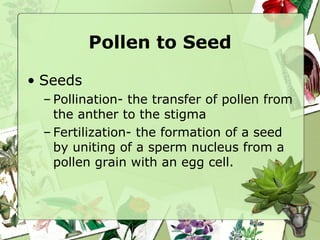 Pollen to Seed ,[object Object],[object Object],[object Object]