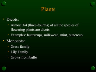 Plants Dicots: Almost 3/4 (three-fourths) of all the species of flowering plants are dicots Examples: buttercups, milkweed, mint, buttercup Monocots: Grass family Lily Family Grows from bulbs  