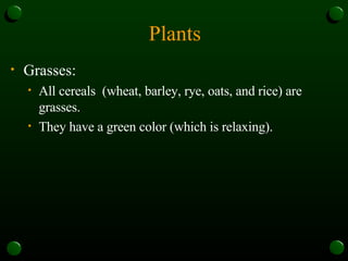 Plants Grasses: All cereals  (wheat, barley, rye, oats, and rice) are grasses. They have a green color (which is relaxing). 