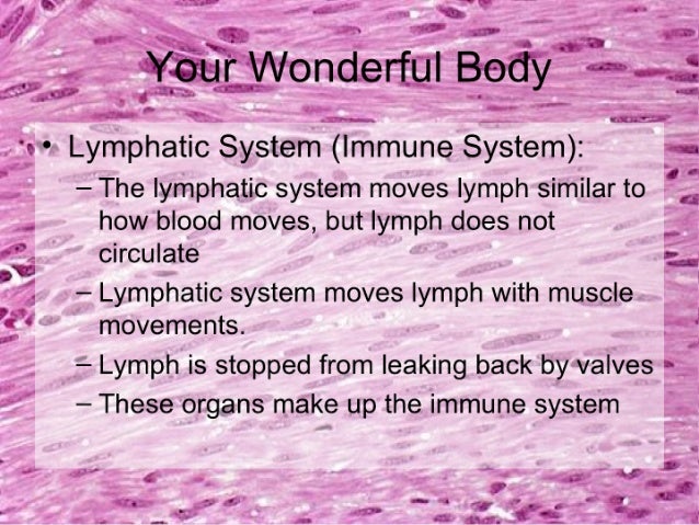 7th Grade Chapter 3 Lesson 2