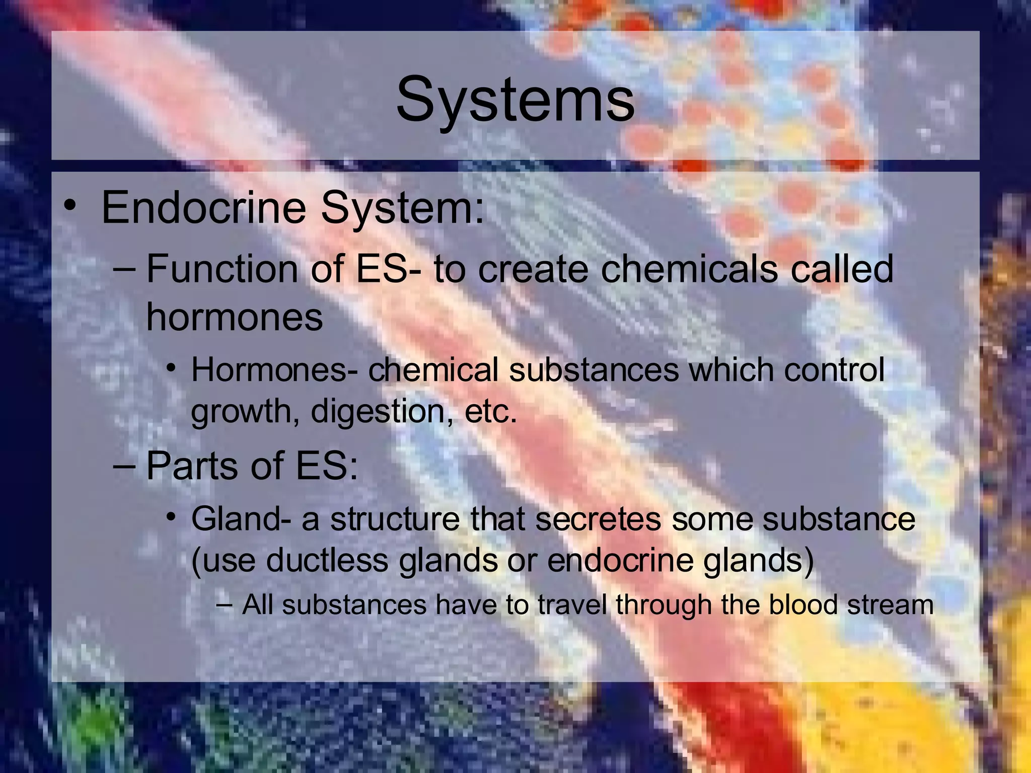 Systems Endocrine System: Function of ES- to create chemicals called hormones Hormones- chemical substances which control growth, digestion, etc. Parts of ES: Gland- a structure that secretes some substance (use ductless glands or endocrine glands) All substances have to travel through the blood stream 