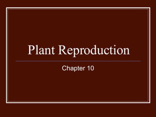 Plant Reproduction Chapter 10 