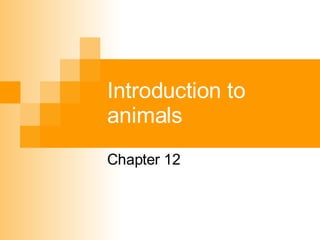 Introduction to animals Chapter 12 