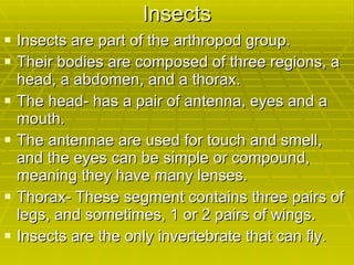 Chapter 13- higher animals | PPT