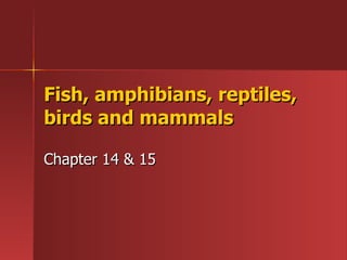 Fish, amphibians, reptiles, birds and mammals Chapter 14 & 15 