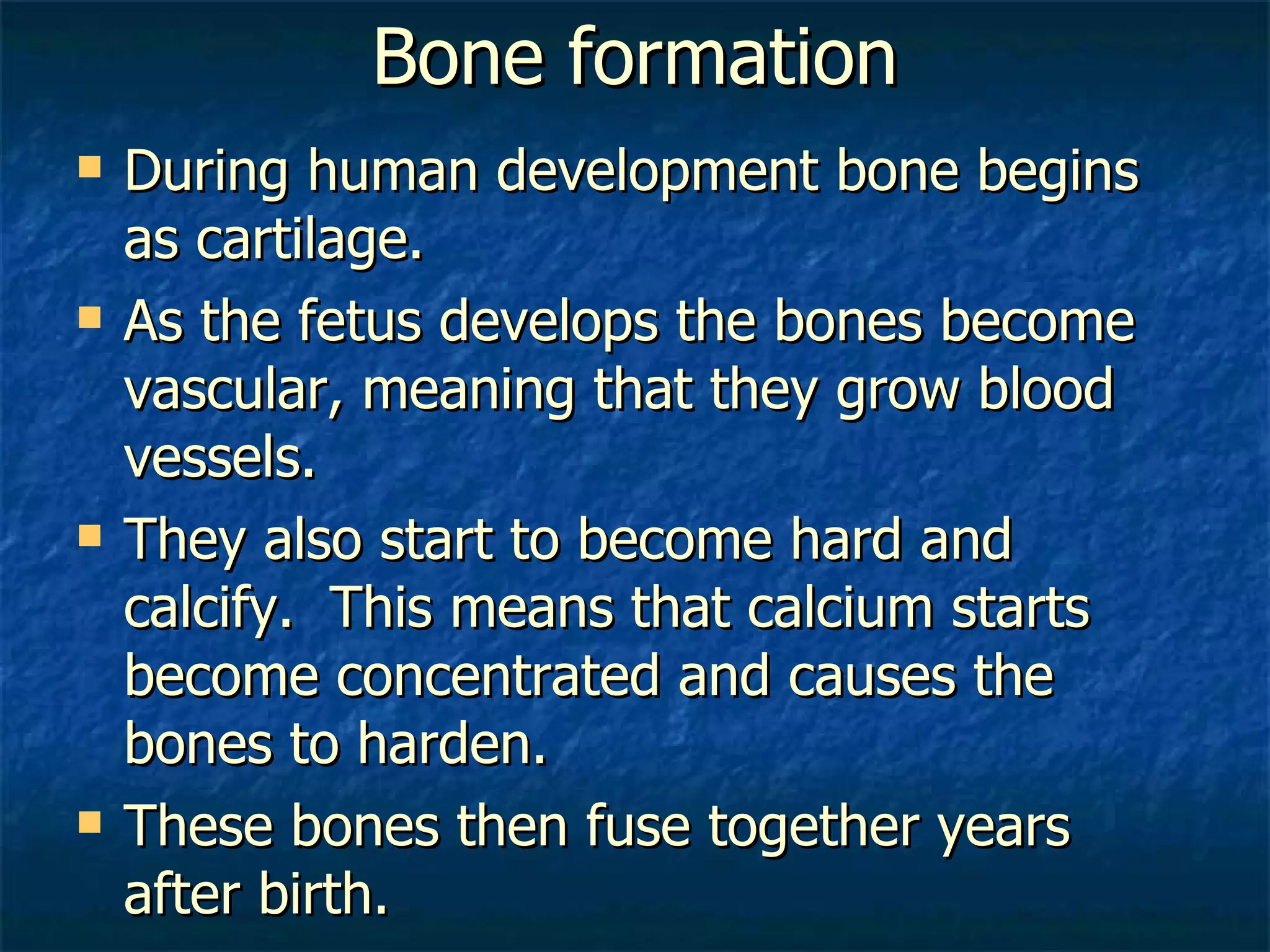 Chapter 17-human structure | PPT | Bone and Joint Conditions | Diseases ...