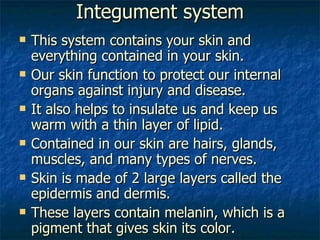 Integument system This system contains your skin and everything contained in your skin. Our skin function to protect our internal organs against injury and disease. It also helps to insulate us and keep us warm with a thin layer of lipid. Contained in our skin are hairs, glands, muscles, and many types of nerves. Skin is made of 2 large layers called the epidermis and dermis. These layers contain melanin, which is a pigment that gives skin its color. 