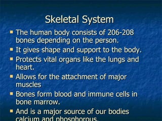 Skeletal System  The human body consists of 206-208 bones depending on the person. It gives shape and support to the body. Protects vital organs like the lungs and heart. Allows for the attachment of major muscles Bones form blood and immune cells in bone marrow. And is a major source of our bodies calcium and phosphorous.  