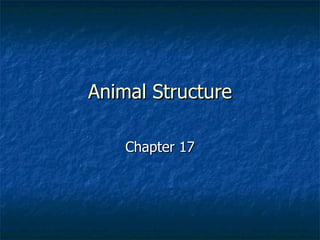 Animal Structure Chapter 17 