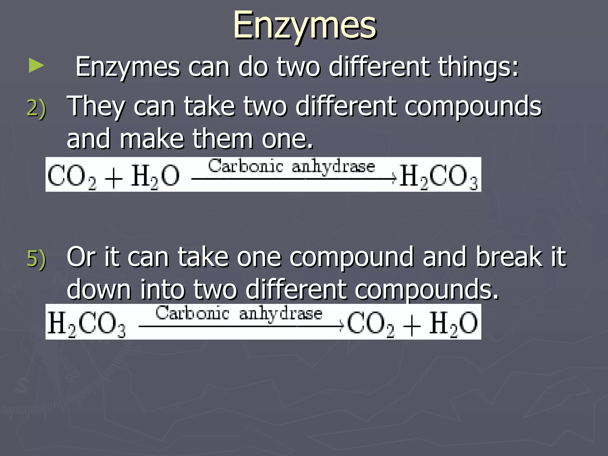 Enzymes Enzymes can do two different things: They can take two different compounds and make them one. Or it can take one compound and break it down into two different compounds.                                                    