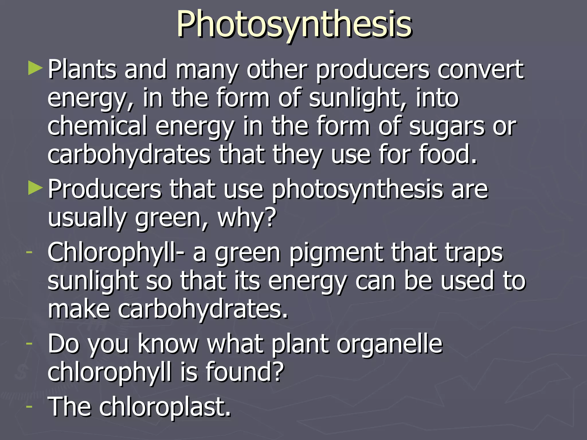 Photosynthesis Plants and many other producers convert energy, in the form of sunlight, into chemical energy in the form of sugars or carbohydrates that they use for food. Producers that use photosynthesis are usually green, why? Chlorophyll- a green pigment that traps sunlight so that its energy can be used to make carbohydrates. Do you know what plant organelle chlorophyll is found? The chloroplast. 