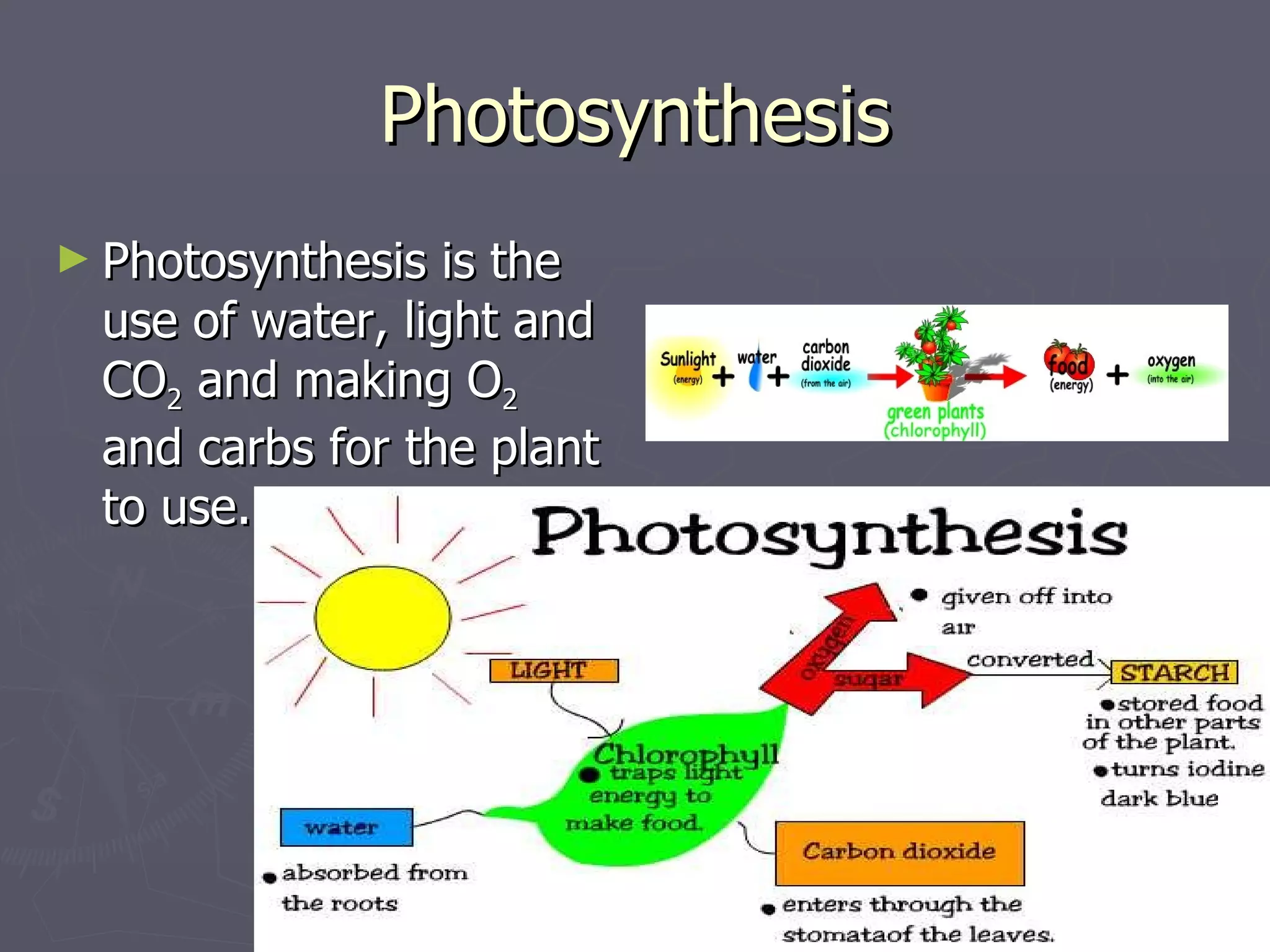 Photosynthesis Photosynthesis is the use of water, light and CO 2  and making O 2  and carbs for the plant to use. 