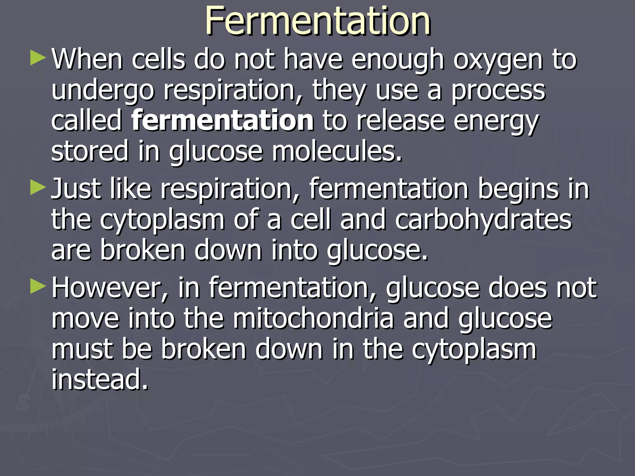 Fermentation When cells do not have enough oxygen to undergo respiration, they use a process called  fermentation  to release energy stored in glucose molecules. Just like respiration, fermentation begins in the cytoplasm of a cell and carbohydrates are broken down into glucose. However, in fermentation, glucose does not move into the mitochondria and glucose must be broken down in the cytoplasm instead. 