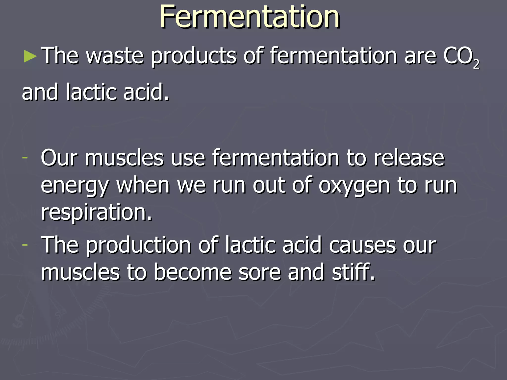 Fermentation The waste products of fermentation are CO 2 and lactic acid. Our muscles use fermentation to release energy when we run out of oxygen to run respiration. The production of lactic acid causes our muscles to become sore and stiff. 