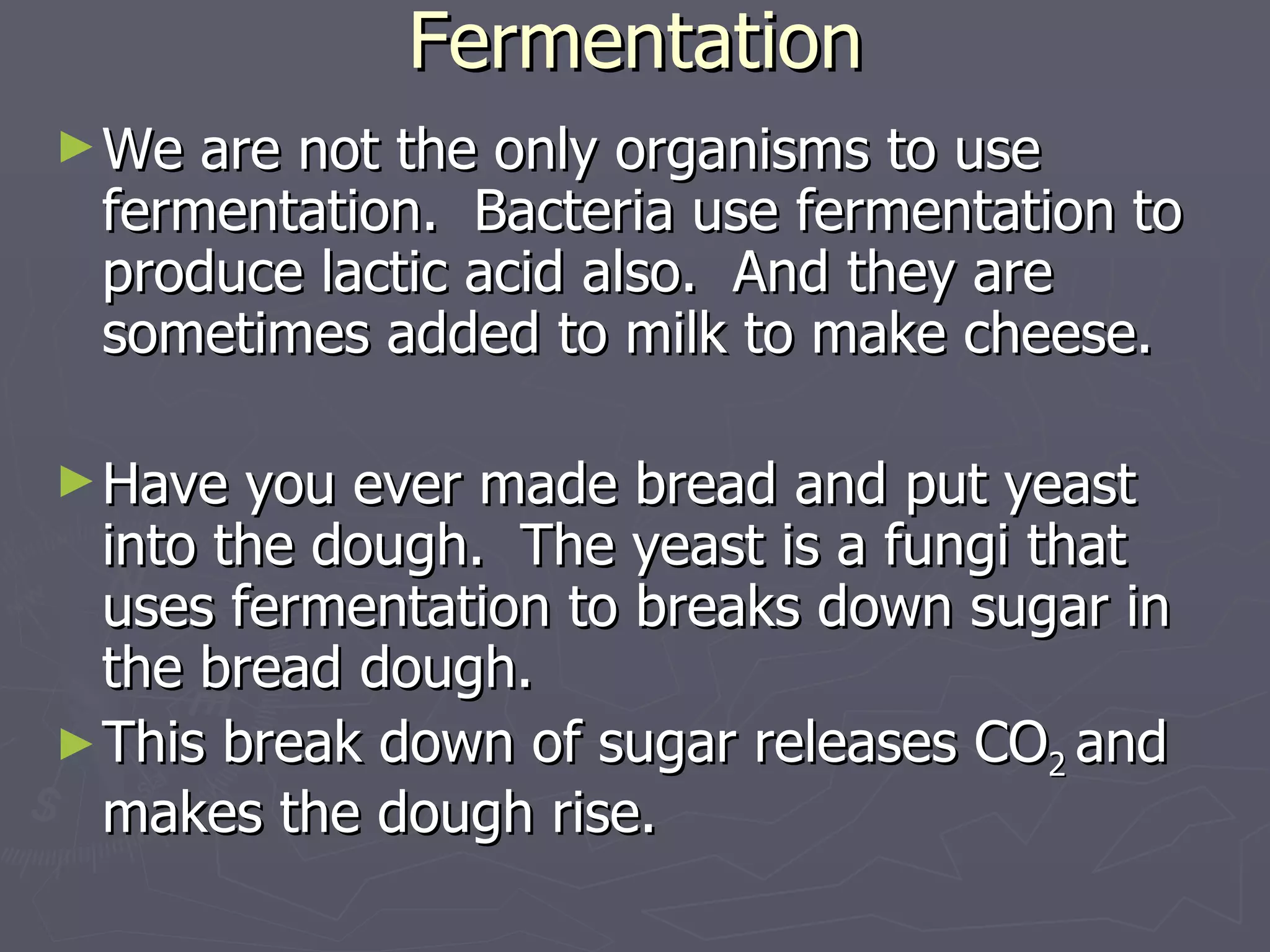 Fermentation We are not the only organisms to use fermentation.  Bacteria use fermentation to produce lactic acid also.  And they are sometimes added to milk to make cheese. Have you ever made bread and put yeast into the dough.  The yeast is a fungi that uses fermentation to breaks down sugar in the bread dough. This break down of sugar releases CO 2  and makes the dough rise. 