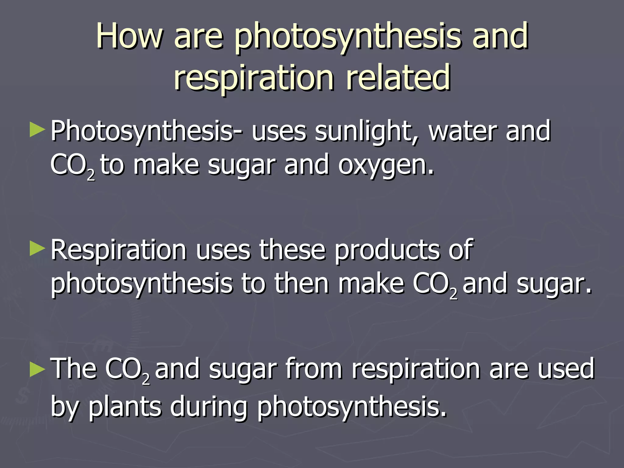 How are photosynthesis and respiration related Photosynthesis- uses sunlight, water and CO 2  to make sugar and oxygen. Respiration uses these products of photosynthesis to then make CO 2  and sugar. The CO 2  and sugar from respiration are used by plants during photosynthesis. 