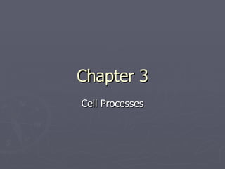 Chapter 3 Cell Processes 