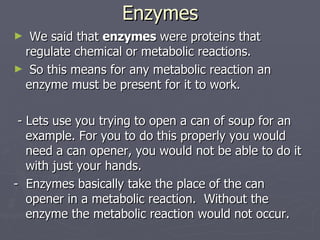 Enzymes We said that  enzymes  were proteins that regulate chemical or metabolic reactions. So this means for any metabolic reaction an enzyme must be present for it to work. - Lets use you trying to open a can of soup for an example. For you to do this properly you would need a can opener, you would not be able to do it with just your hands. -  Enzymes basically take the place of the can opener in a metabolic reaction.  Without the enzyme the metabolic reaction would not occur. 